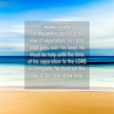 Picture 04 - Numbers 6:5 BSB - For the entire period of his vow of separation, - Bible Verse Picture