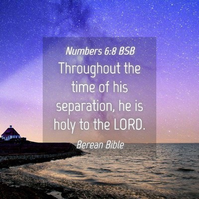 Picture 04 - Numbers 6:8 BSB - Throughout the time of his separation, he is holy - Bible Verse Picture