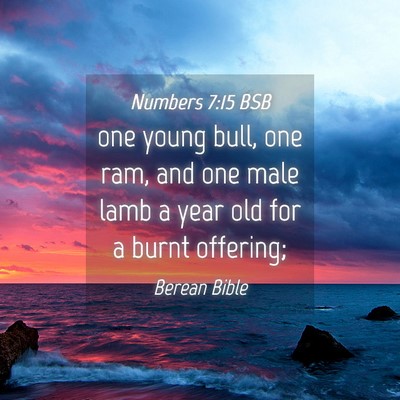 Picture 04 - Numbers 7:15 BSB - one young bull, one ram, and one male lamb a year - Bible Verse Picture