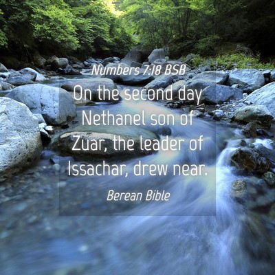Picture 04 - Numbers 7:18 BSB - On the second day Nethanel son of Zuar, the - Bible Verse Picture