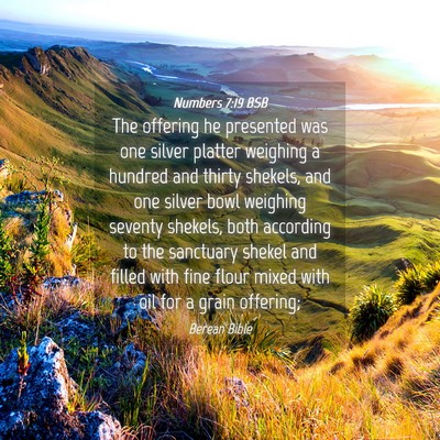 Picture 04 - Numbers 7:19 BSB - The offering he presented was one silver platter - Bible Verse Picture