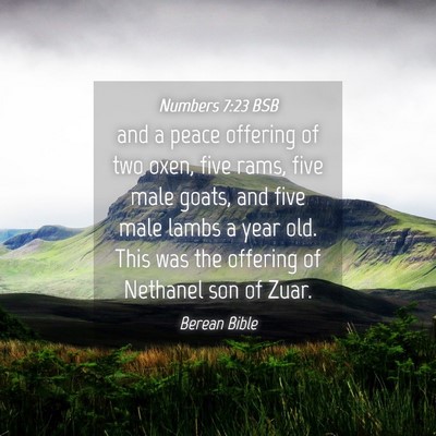 Picture 04 - Numbers 7:23 BSB - and a peace offering of two oxen, five rams, five - Bible Verse Picture