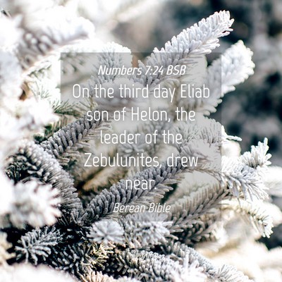 Picture 04 - Numbers 7:24 BSB - On the third day Eliab son of Helon, the leader - Bible Verse Picture