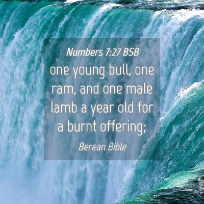 Picture 04 - Numbers 7:27 BSB - one young bull, one ram, and one male lamb a year - Bible Verse Picture