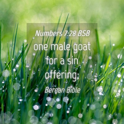 Picture 04 - Numbers 7:28 BSB - one male goat for a sin - Bible Verse Picture