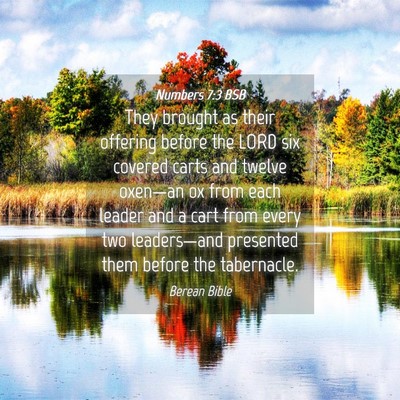 Picture 04 - Numbers 7:3 BSB - They brought as their offering before the LORD - Bible Verse Picture
