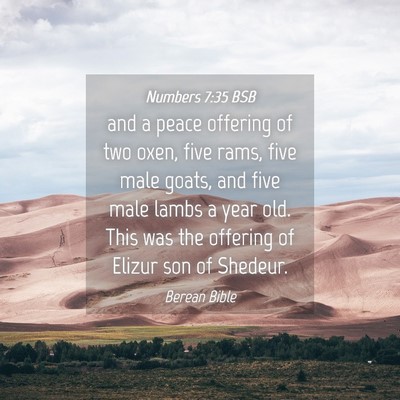 Picture 04 - Numbers 7:35 BSB - and a peace offering of two oxen, five rams, five - Bible Verse Picture