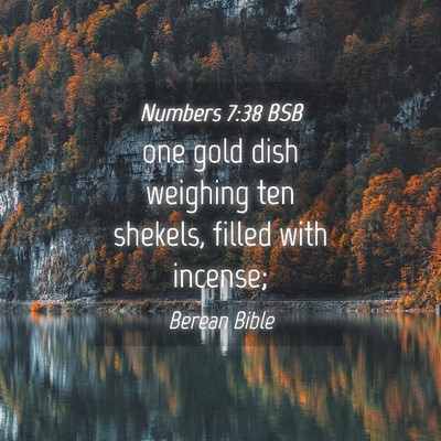 Picture 04 - Numbers 7:38 BSB - one gold dish weighing ten shekels, filled with - Bible Verse Picture