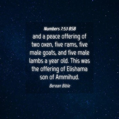 Picture 04 - Numbers 7:53 BSB - and a peace offering of two oxen, five rams, five - Bible Verse Picture
