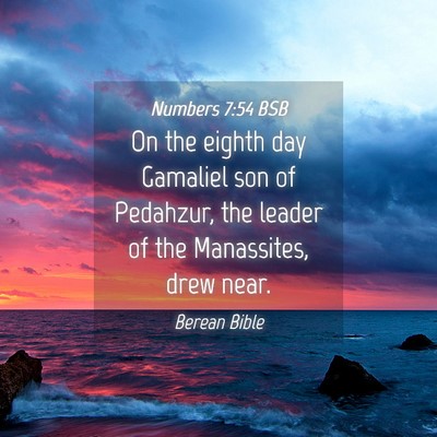 Picture 04 - Numbers 7:54 BSB - On the eighth day Gamaliel son of Pedahzur, the - Bible Verse Picture