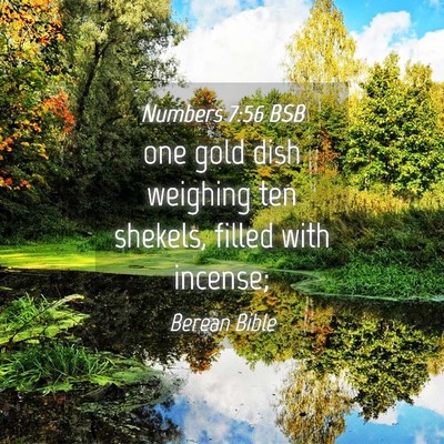Picture 04 - Numbers 7:56 BSB - one gold dish weighing ten shekels, filled with - Bible Verse Picture