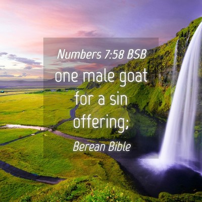 Picture 04 - Numbers 7:58 BSB - one male goat for a sin - Bible Verse Picture