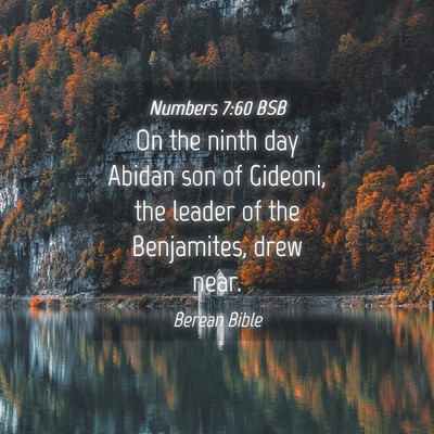 Picture 04 - Numbers 7:60 BSB - On the ninth day Abidan son of Gideoni, the - Bible Verse Picture