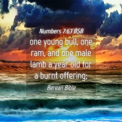 Picture 04 - Numbers 7:63 BSB - one young bull, one ram, and one male lamb a year - Bible Verse Picture