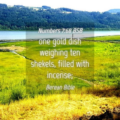 Picture 04 - Numbers 7:68 BSB - one gold dish weighing ten shekels, filled with - Bible Verse Picture