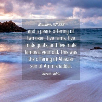 Picture 04 - Numbers 7:71 BSB - and a peace offering of two oxen, five rams, five - Bible Verse Picture