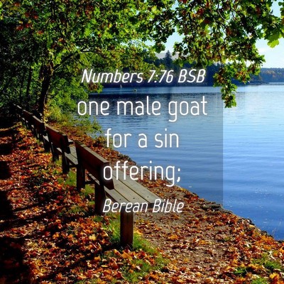 Picture 04 - Numbers 7:76 BSB - one male goat for a sin - Bible Verse Picture