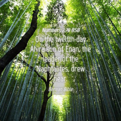 Picture 04 - Numbers 7:78 BSB - On the twelfth day Ahira son of Enan, the leader - Bible Verse Picture
