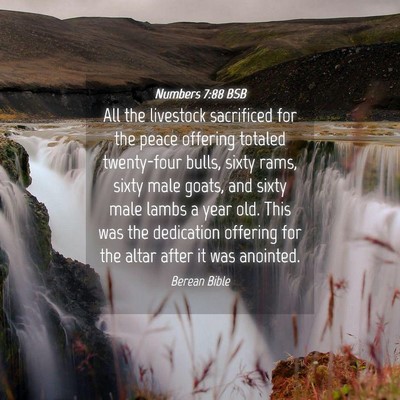 Picture 04 - Numbers 7:88 BSB - All the livestock sacrificed for the peace - Bible Verse Picture