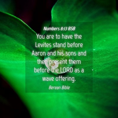 Picture 04 - Numbers 8:13 BSB - You are to have the Levites stand before Aaron - Bible Verse Picture