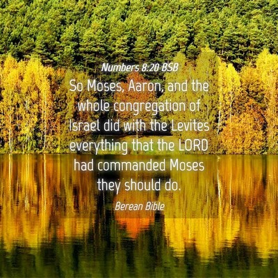 Picture 04 - Numbers 8:20 BSB - So Moses, Aaron, and the whole congregation of - Bible Verse Picture