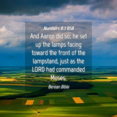 Picture 04 - Numbers 8:3 BSB - And Aaron did so; he set up the lamps facing - Bible Verse Picture
