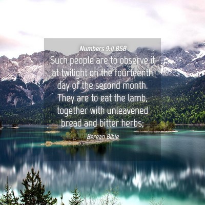 Picture 04 - Numbers 9:11 BSB - Such people are to observe it at twilight on the - Bible Verse Picture