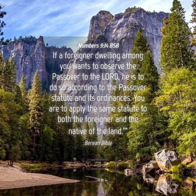 Picture 04 - Numbers 9:14 BSB - If a foreigner dwelling among you wants to - Bible Verse Picture