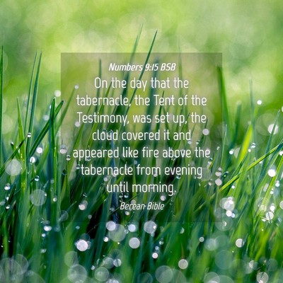Picture 04 - Numbers 9:15 BSB - On the day that the tabernacle, the Tent of the - Bible Verse Picture