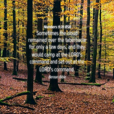 Picture 04 - Numbers 9:20 BSB - Sometimes the cloud remained over the tabernacle - Bible Verse Picture
