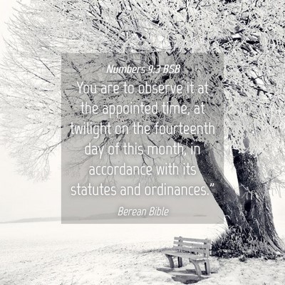 Picture 04 - Numbers 9:3 BSB - You are to observe it at the appointed time, at - Bible Verse Picture