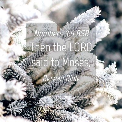 Picture 04 - Numbers 9:9 BSB - Then the LORD said to - Bible Verse Picture