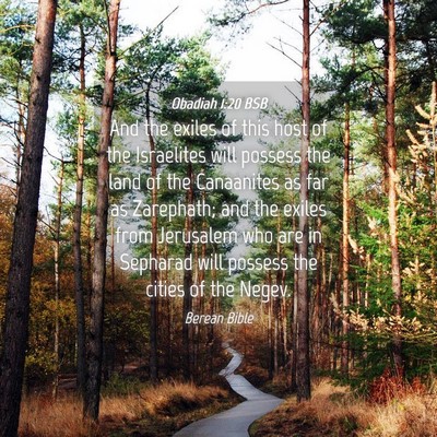 Picture 04 - Obadiah 1:20 BSB - And the exiles of this host of the Israelites - Bible Verse Picture
