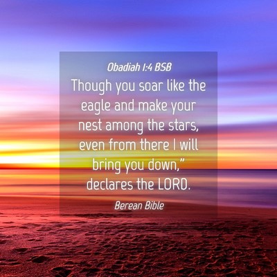 Picture 04 - Obadiah 1:4 BSB - Though you soar like the eagle and make your nest - Bible Verse Picture