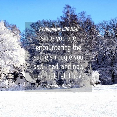 Picture 04 - Philippians 1:30 BSB - since you are encountering the same struggle you - Bible Verse Picture