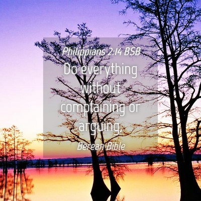 Picture 04 - Philippians 2:14 BSB - Do everything without complaining or - Bible Verse Picture