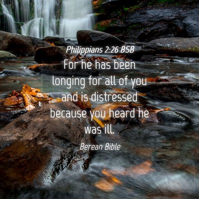 Picture 04 - Philippians 2:26 BSB - For he has been longing for all of you and is - Bible Verse Picture