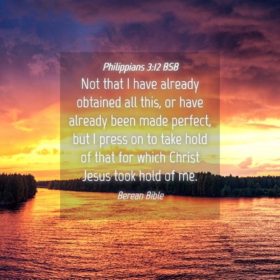 Picture 04 - Philippians 3:12 BSB - Not that I have already obtained all this, or - Bible Verse Picture