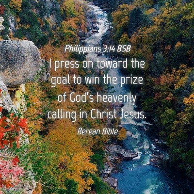 Picture 04 - Philippians 3:14 BSB - I press on toward the goal to win the prize of - Bible Verse Picture