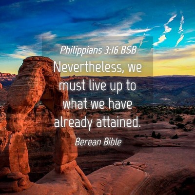 Picture 04 - Philippians 3:16 BSB - Nevertheless, we must live up to what we have - Bible Verse Picture