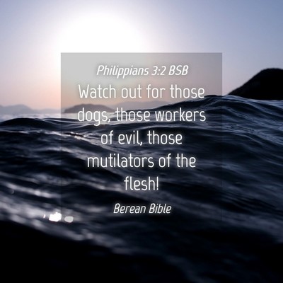Picture 04 - Philippians 3:2 BSB - Watch out for those dogs, those workers of evil, - Bible Verse Picture