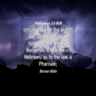 Picture 04 - Philippians 3:5 BSB - circumcised on the eighth day, of the people of - Bible Verse Picture
