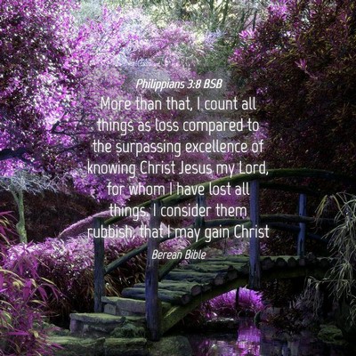 Picture 04 - Philippians 3:8 BSB - More than that, I count all things as loss - Bible Verse Picture