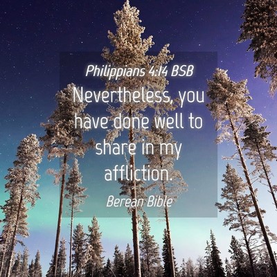 Picture 04 - Philippians 4:14 BSB - Nevertheless, you have done well to share in my - Bible Verse Picture