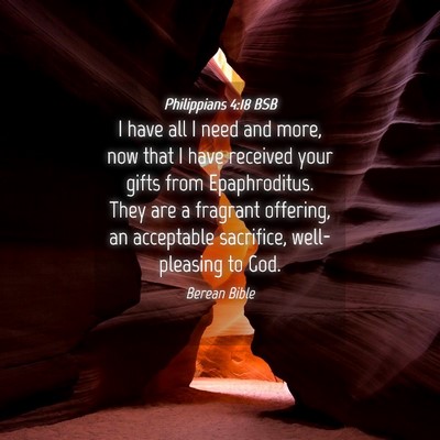 Picture 04 - Philippians 4:18 BSB - I have all I need and more, now that I have - Bible Verse Picture