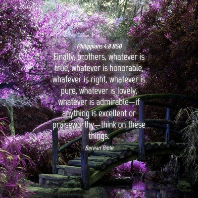 Picture 04 - Philippians 4:8 BSB - Finally, brothers, whatever is true, whatever is - Bible Verse Picture