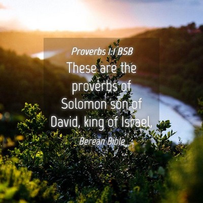 Picture 04 - Proverbs 1:1 BSB - These are the proverbs of Solomon son of David, - Bible Verse Picture