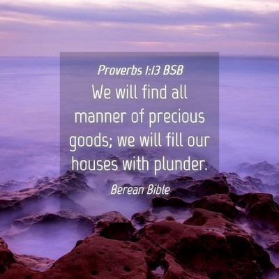 Picture 04 - Proverbs 1:13 BSB - We will find all manner of precious goods; we - Bible Verse Picture