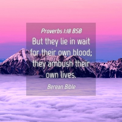 Picture 04 - Proverbs 1:18 BSB - But they lie in wait for their own blood; they - Bible Verse Picture