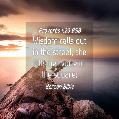 Picture 04 - Proverbs 1:20 BSB - Wisdom calls out in the street, she lifts her - Bible Verse Picture